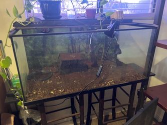Animal tank