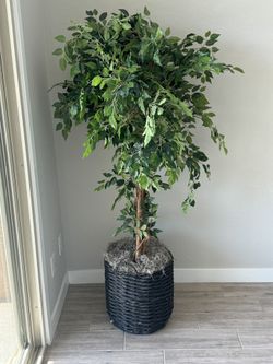 Decorative Realistic Tree