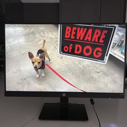 24” HP Monitor