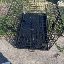 Dog Cage 