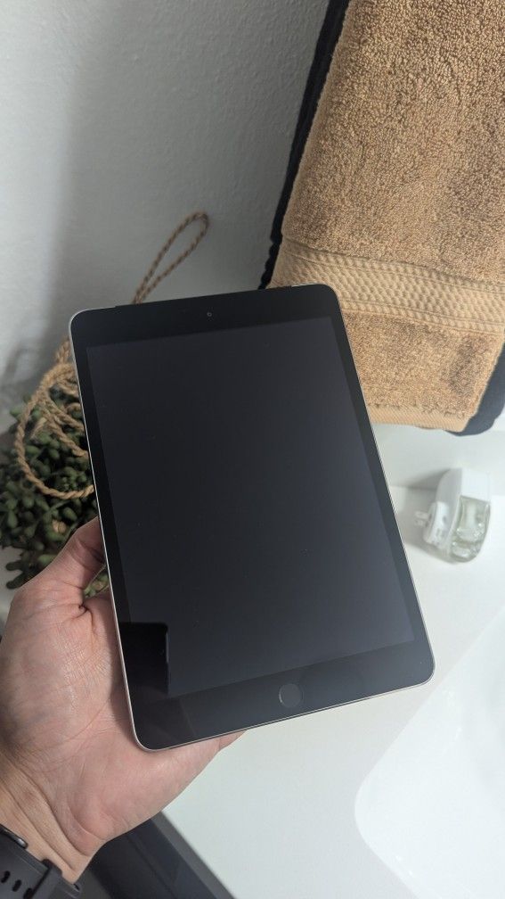 iPad Mini 3