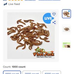 FREE LIVE MEALWORMS