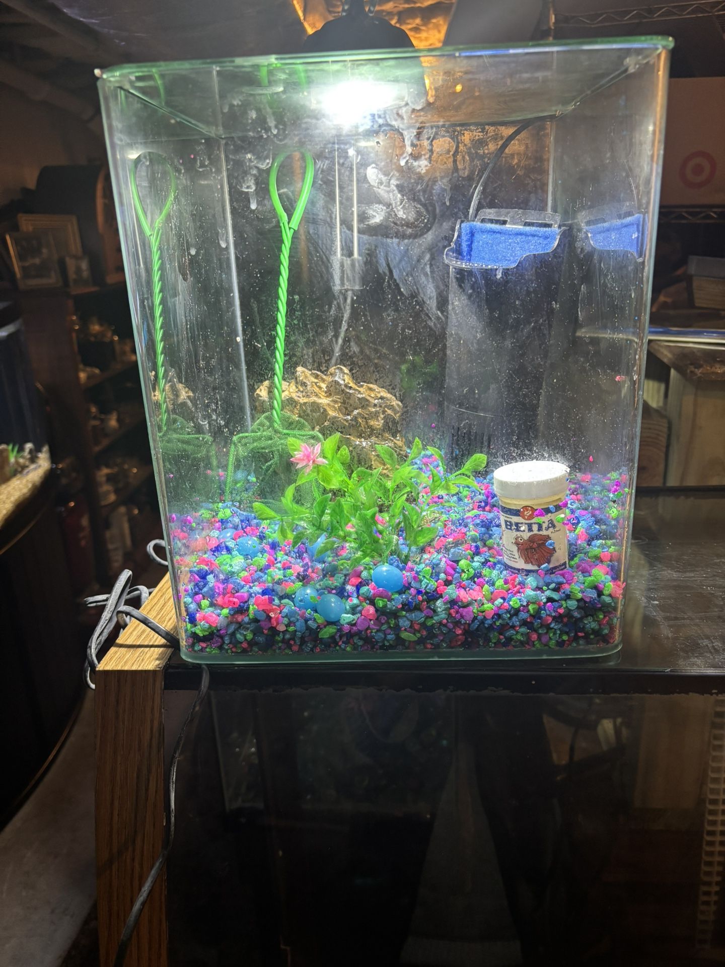 Acrylic Beta Tank And Accessories
