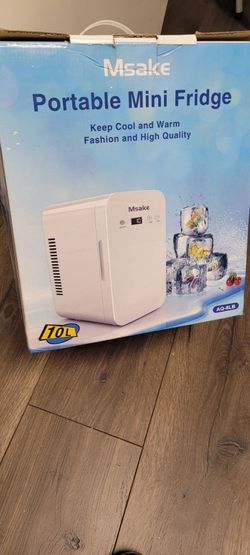 Portable mini fridge