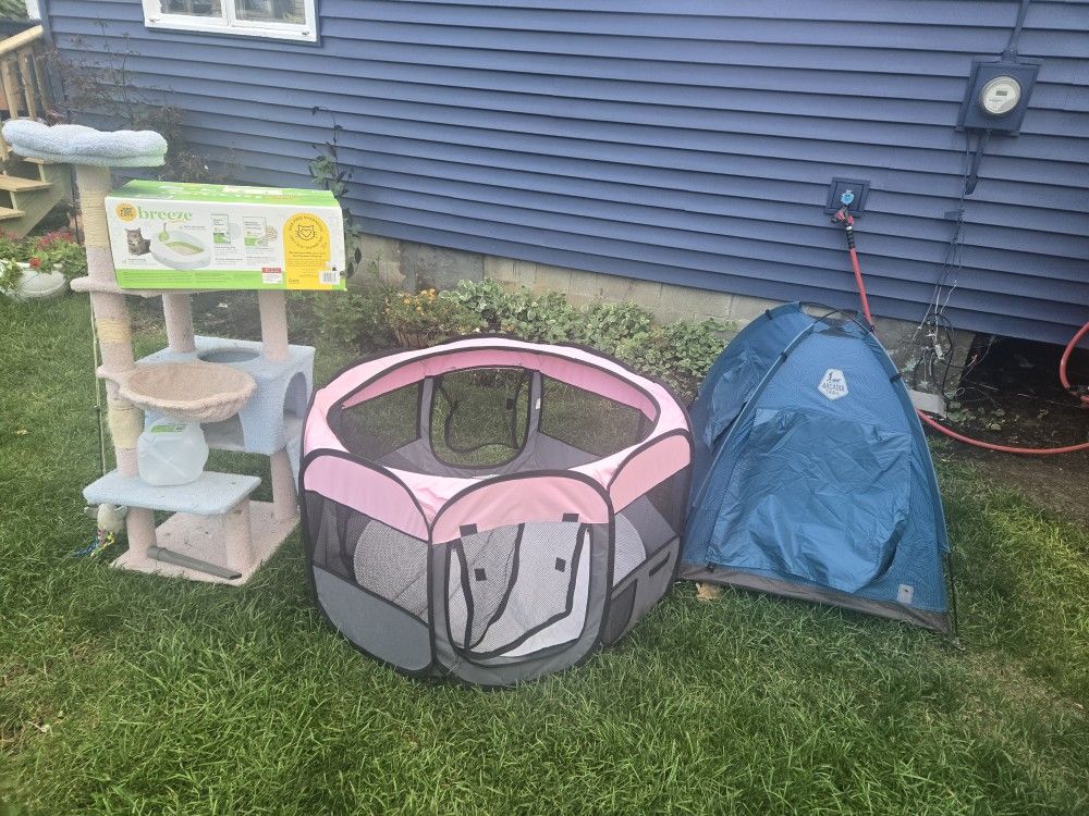 Assorted Pet Kitty Box