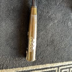 Baseball Bat