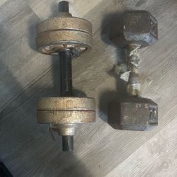 20 Pound Weights