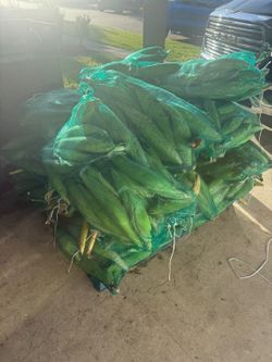 Costales De Elote Blanco Mexicano