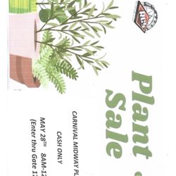 Pomona Plant SALE!!!