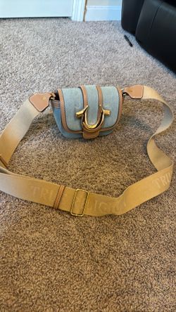 True Religion purse
