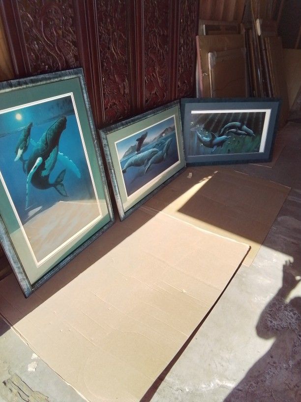 Three Artist Signed Large Whale Framed Prints, Very Good Pre Owned Condition. Don McMichael.
Easy Safe Contactless Pick Up In Vista.