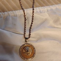Gold Rope Chain With Lion Medallion 