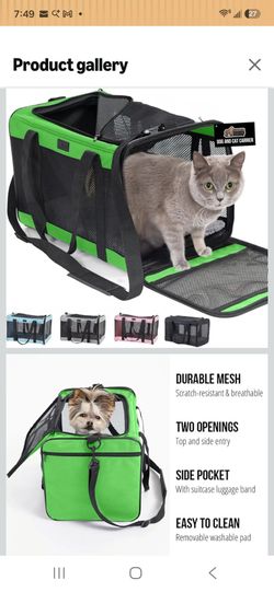 PET CARRIER MEDIUM, GREEN 16.5x11x11
