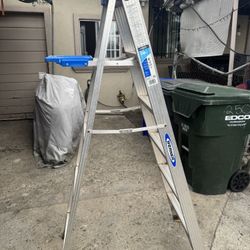 Ladder 6 Ft