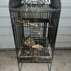 Bird Cage