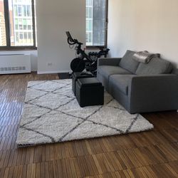 Ivory And Grey Rug With Rug Pad
