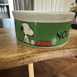 Snoopy Peanuts Dog Pet Bowl by Gibson