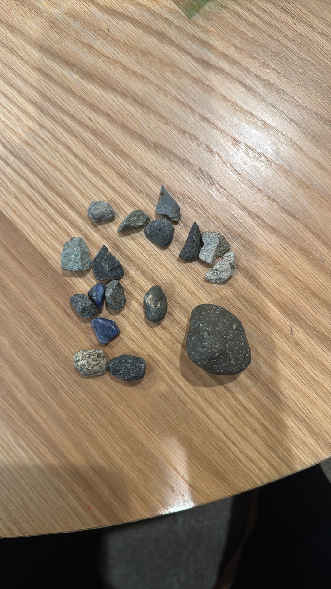 Rocks And Shells