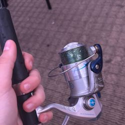 Shakespeare Rod And Reel