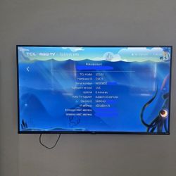 55" 4K TCL Roku TV