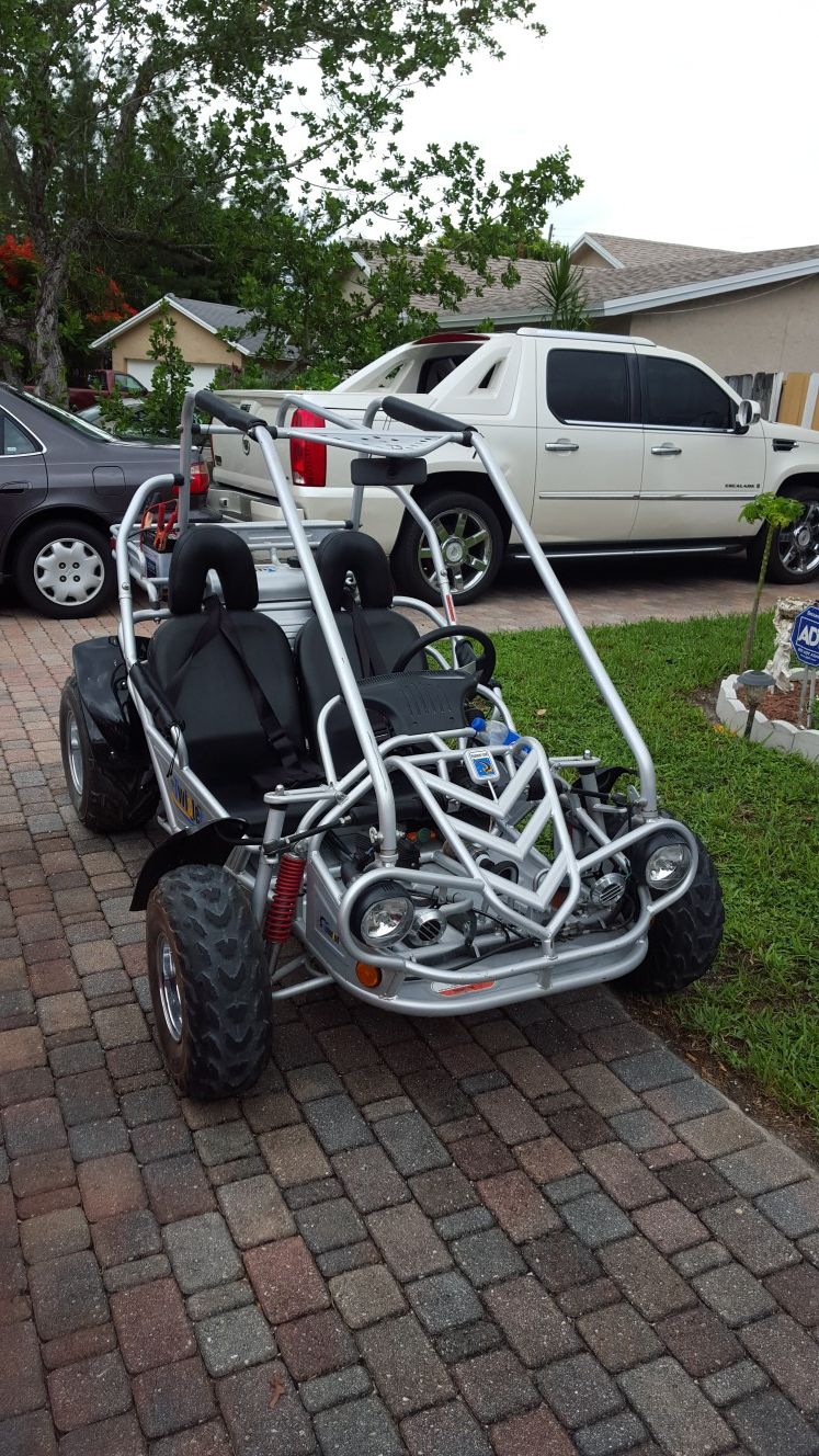 Hammerhead twister go kart 150cc