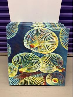 Canvas painting 24”