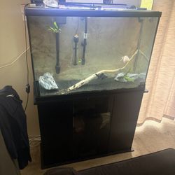 45 Gallon Tank With Stand