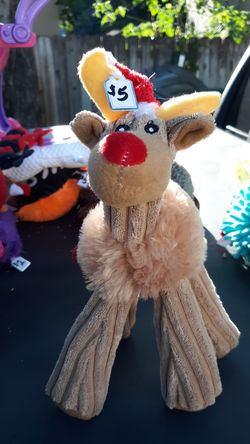 Pet toy with squeaker in it