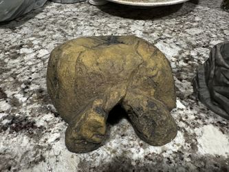 Reptile Hides