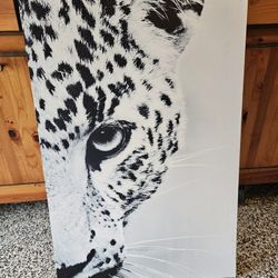 Wild Cat Artwork 
