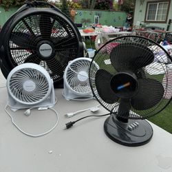 Fans