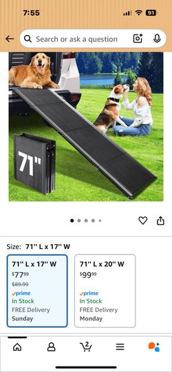 Dog Ramp 