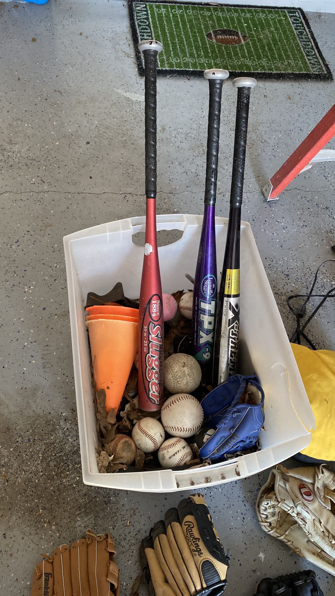 Baseball Bats & Gloves