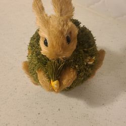 Grass Bunny