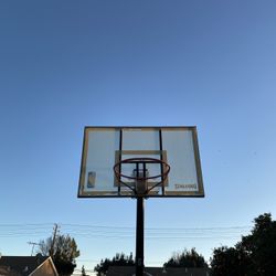 Basketball hoop