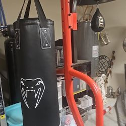 Punching Bag With Speed Bag 