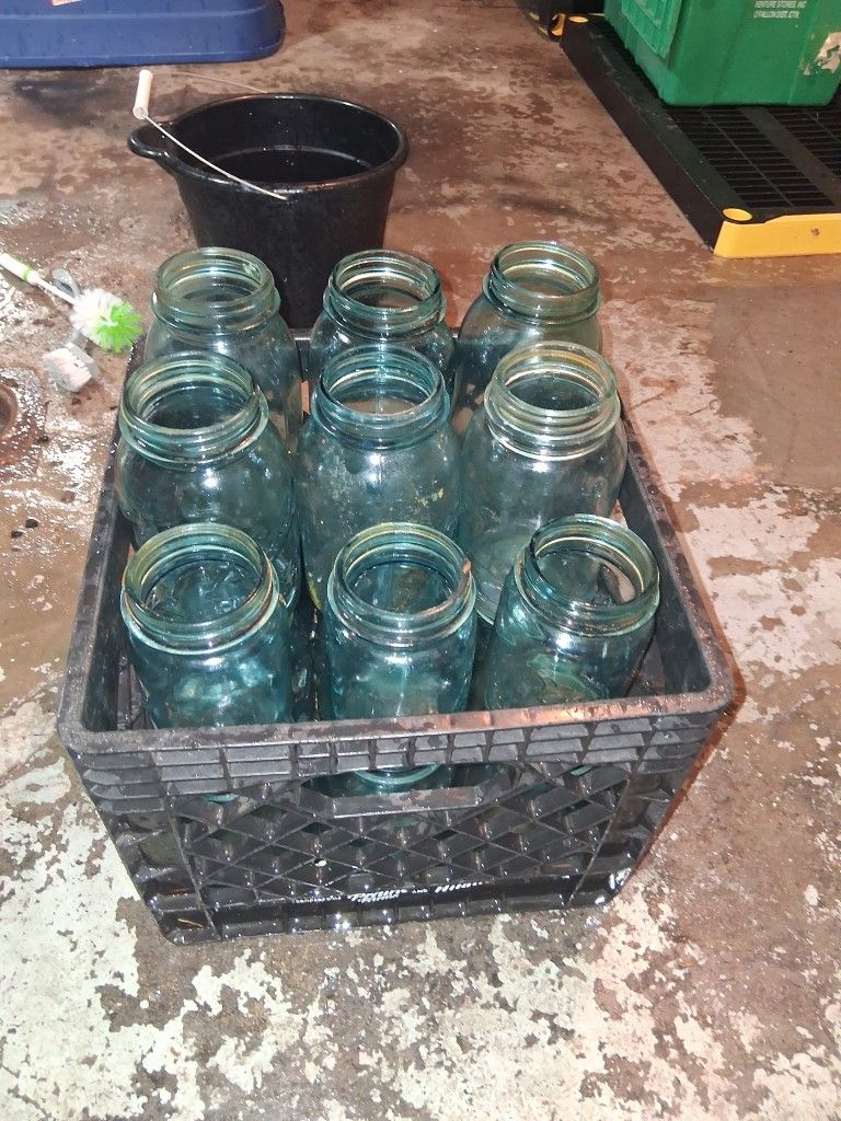 Vintage Bottles