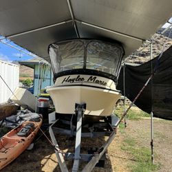 1994 18’ Force
