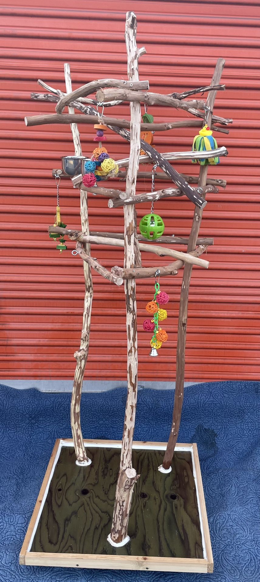 African Grey / Amazon Parrot Perch Tree - Custom Made / Each Unique , Artsy Durable Ribbon Wood 🪵! 