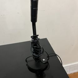Microphone