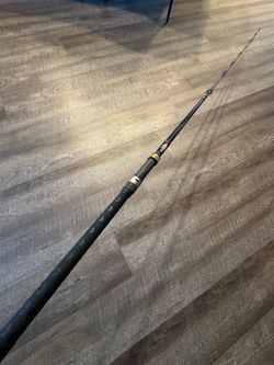 Seeker BS 706 inshore salt water and freshwater fishing rod.
