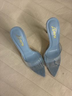 Liliana Clear Denim Pointed Toe Mule Heels