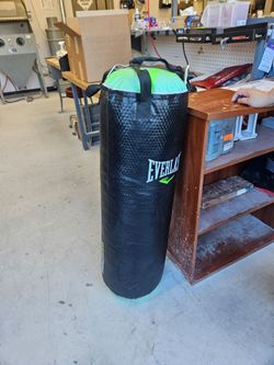 Everlast Everstrike Boxing Bag