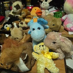Lot Of Steffed Animals 30 Assorted All For One Price