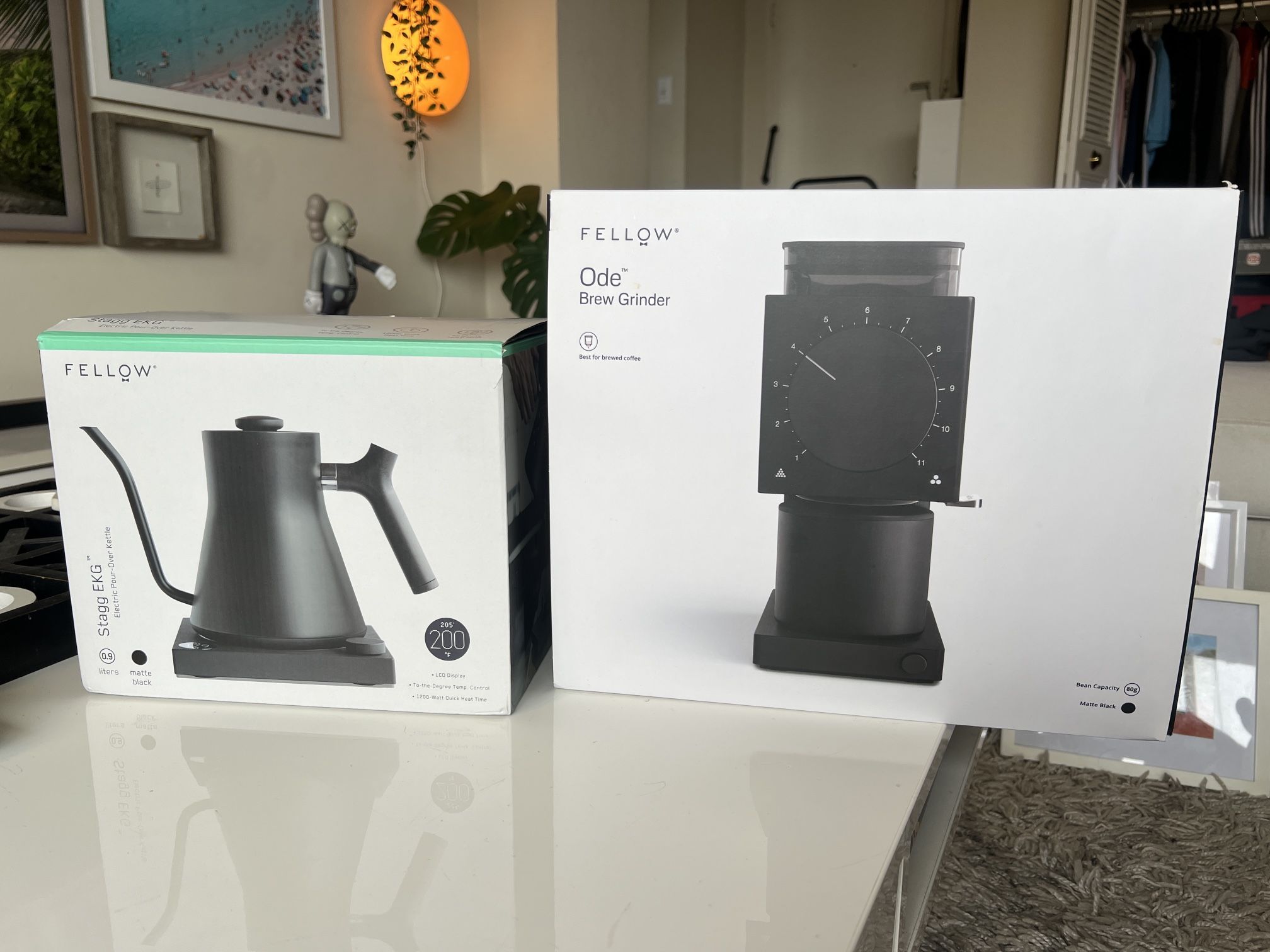 Fellow stagg ekg electric kettle + fellow ode brew grinder