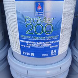 Paint 5 Gallon Egshell