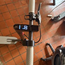 Brand New E-Scooter Goes Up To 19mph