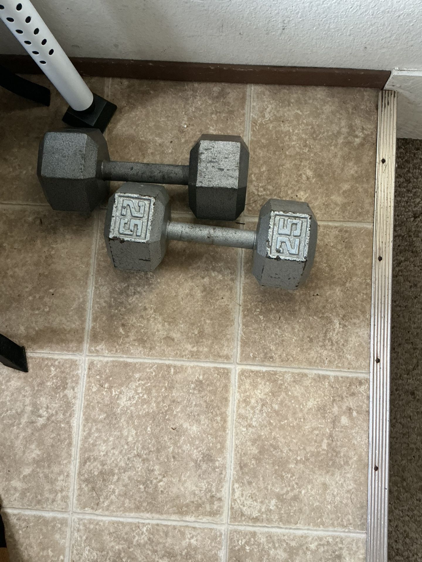 2 25 Pond Dumbells