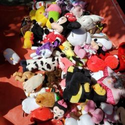 Yd Sale Taday Saturday 29