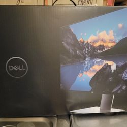 Dell Computer Monitor 